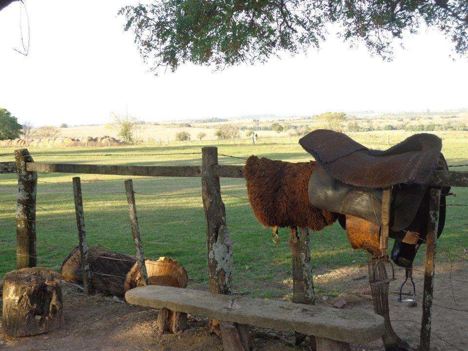 Estancia El Cangue Porvenir المظهر الخارجي الصورة