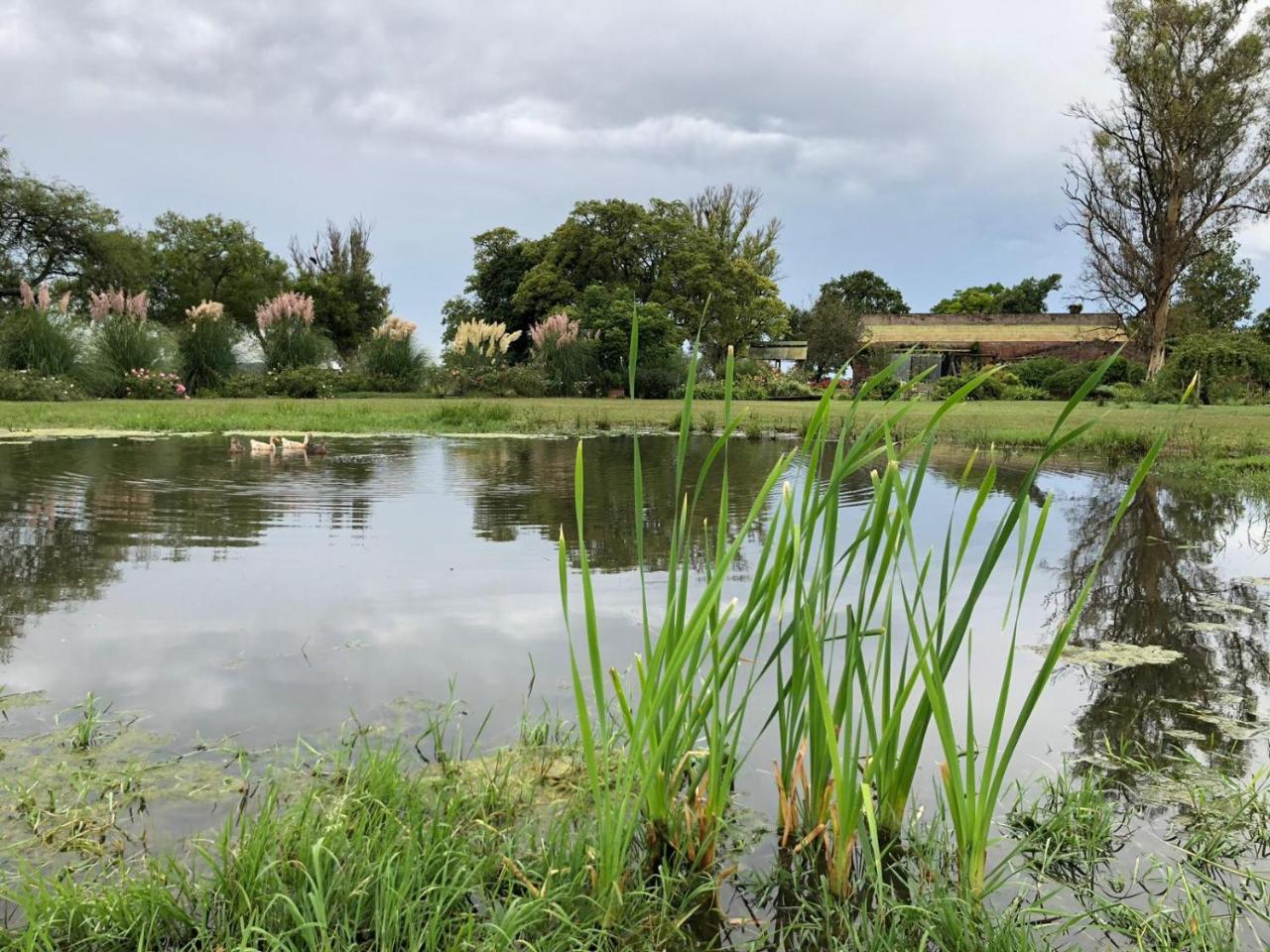 Estancia El Cangue Porvenir المظهر الخارجي الصورة